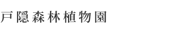 戸隠森林植物園