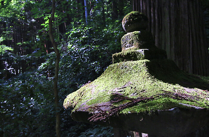 戸隠神社五社参拝