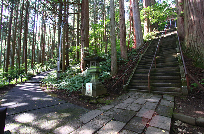 戸隠神社五社参拝