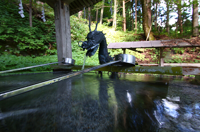 戸隠神社五社参拝